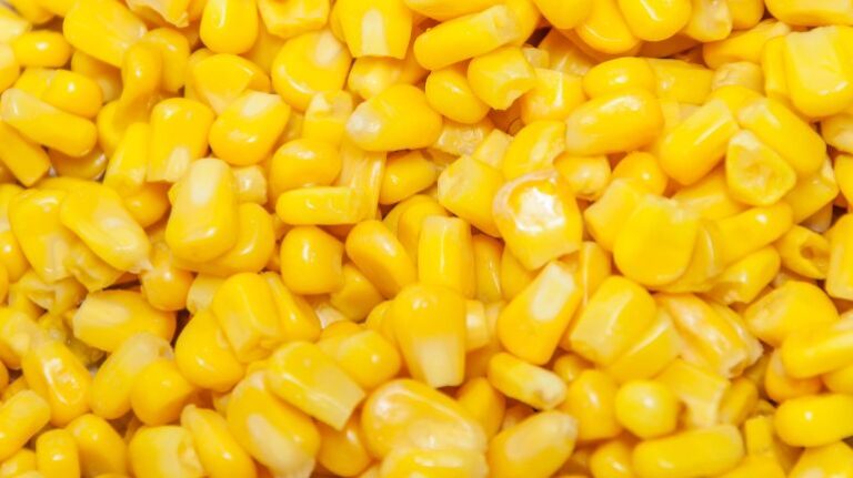 corn-Enpro