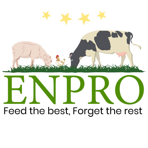 Enpro Feeds