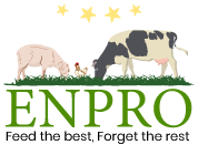 logo-enprofeed