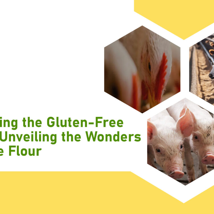 Gluten-Free-Realm