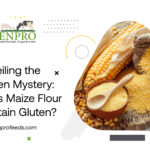 maize-gluten-blog-Enprofeed