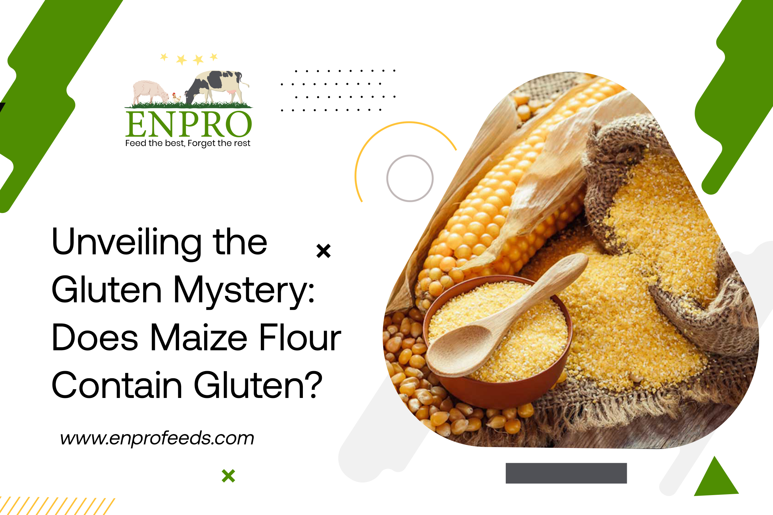 maize-gluten-blog-Enprofeed