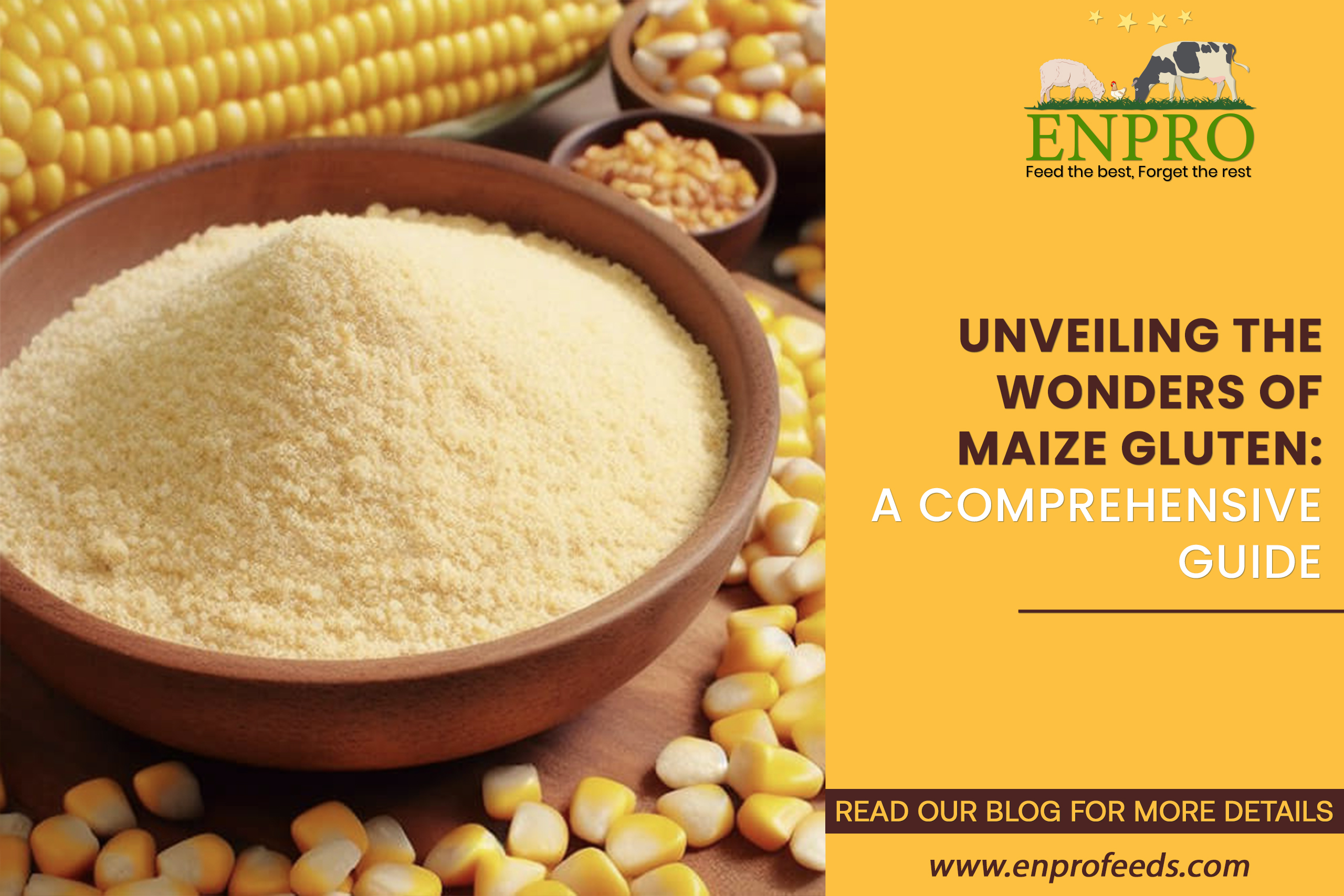 Maize-Gluten-Enprofeed-Blogs