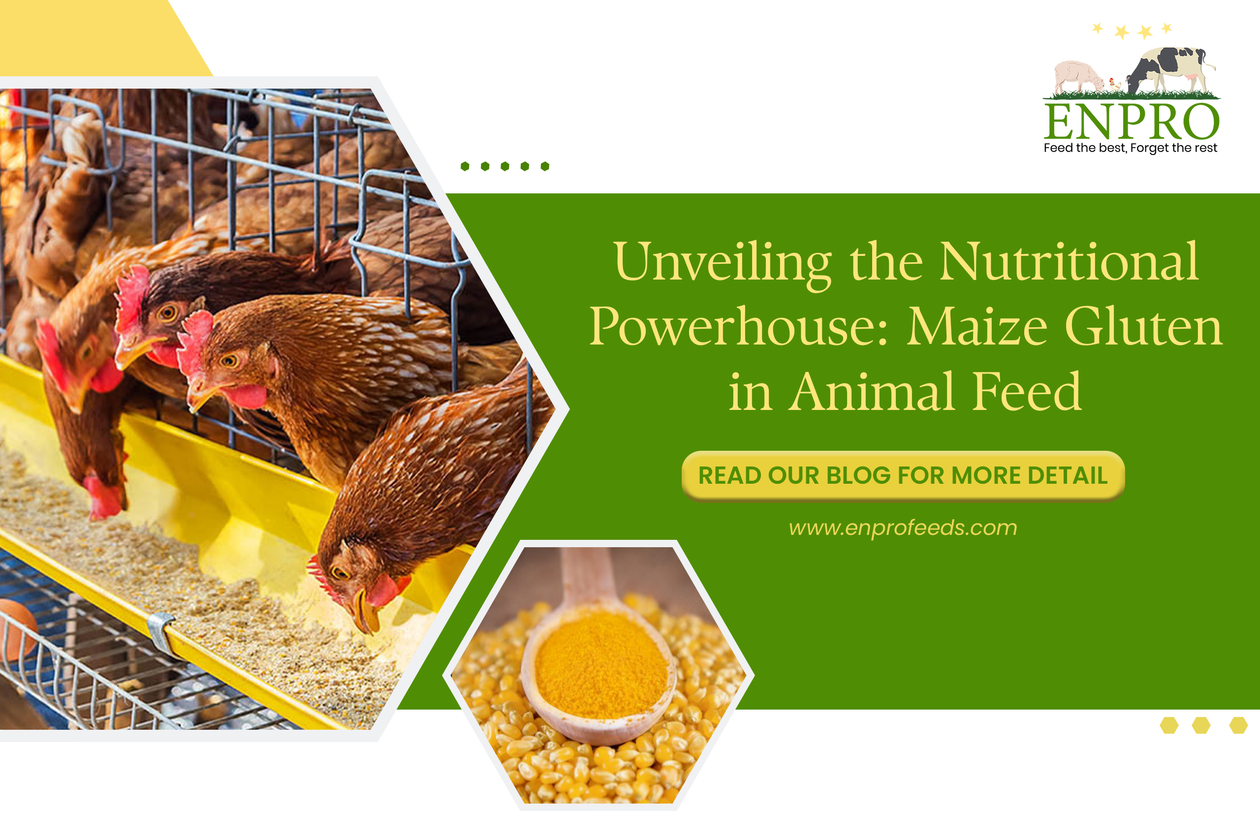 animal-feed-Enprofeed