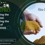 Rice-DDGS-Blog-Enprofeed