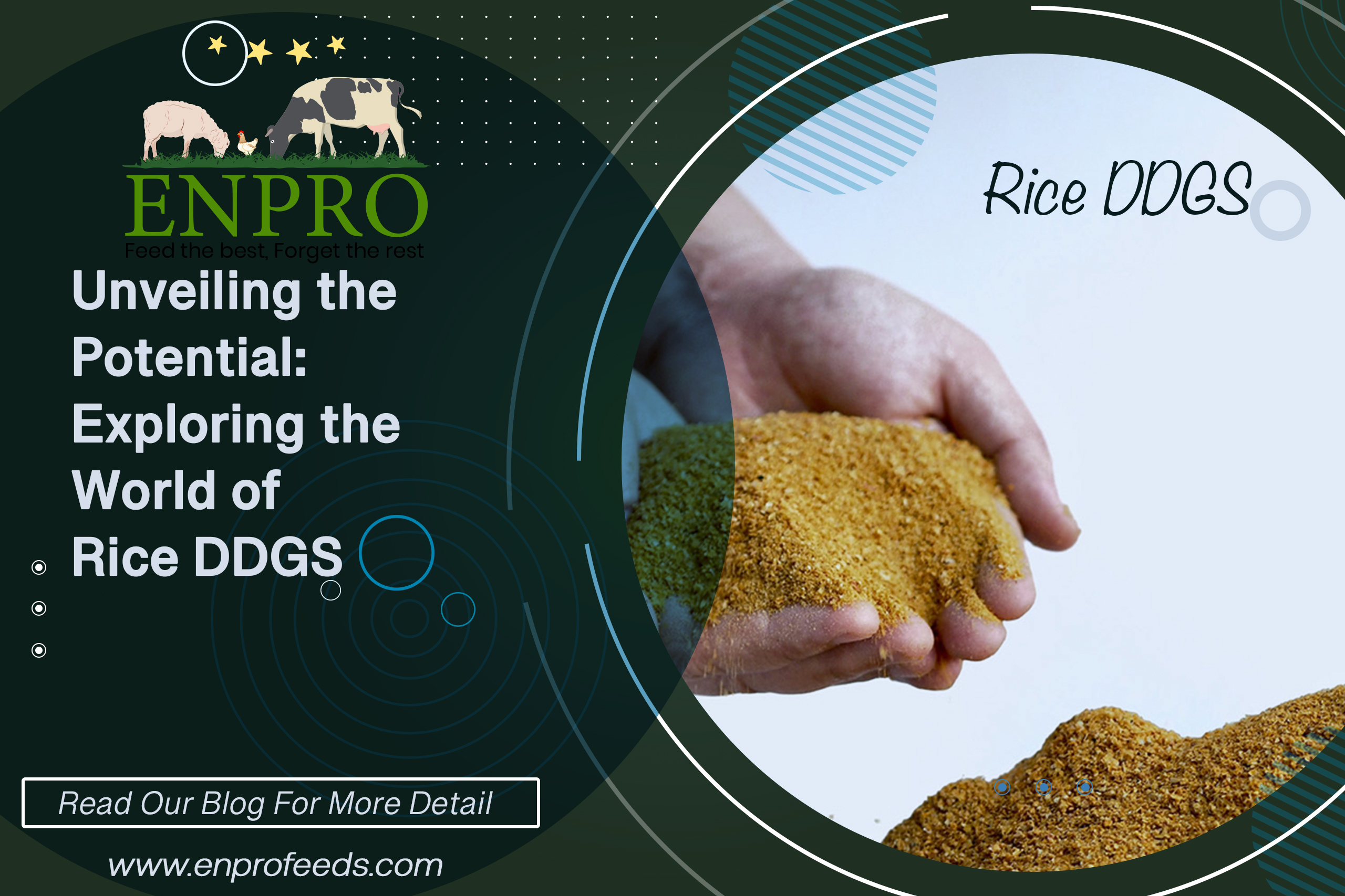 Rice-DDGS-Blog-Enprofeed