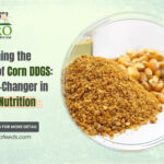 Animal-Nutrition-blog-Enprofeed