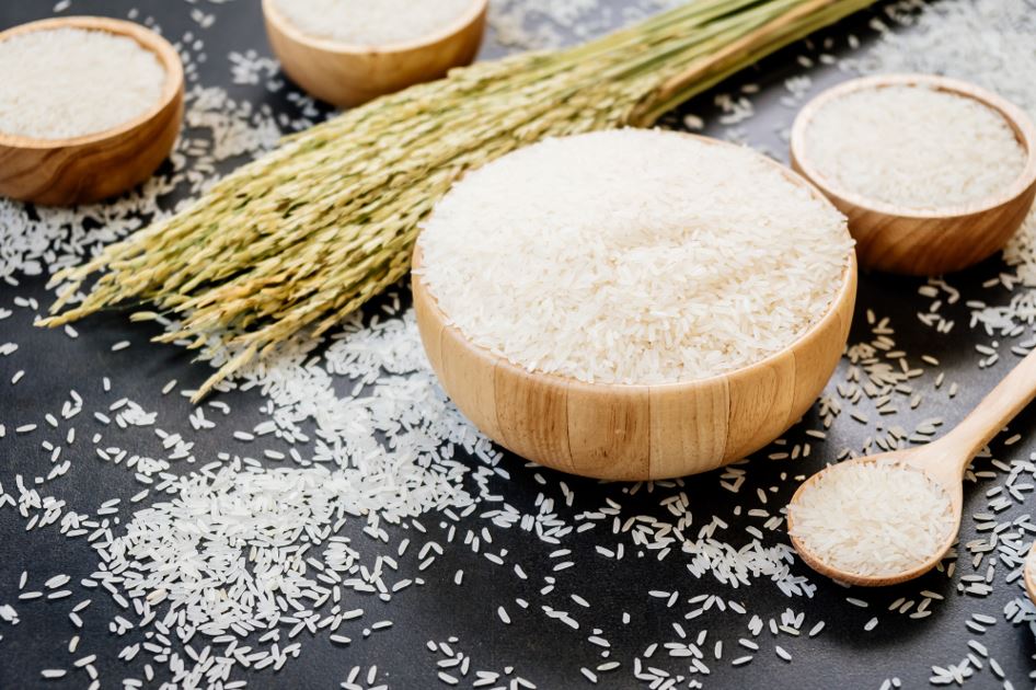 Benefits of rice ddgs