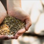 Best feeds provider in india