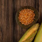 Corn DDGS