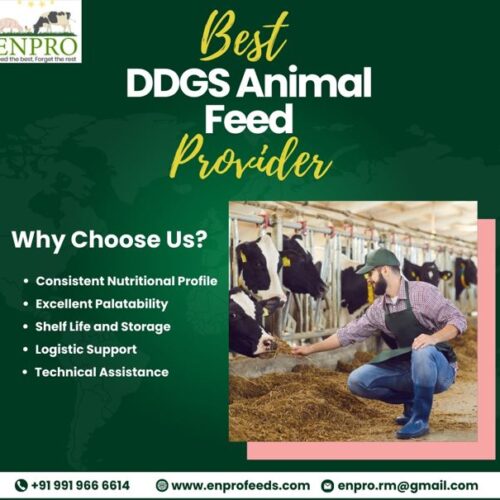 best animal feed provider in India