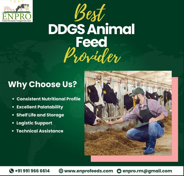 best animal feed provider in India