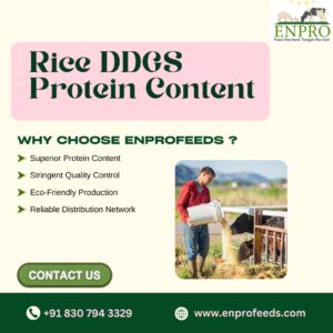 Rice DDGS Protein Content