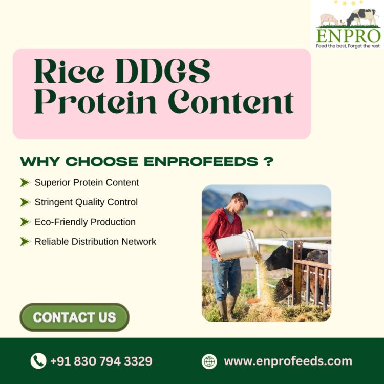 Rice DDGS Protein Content
