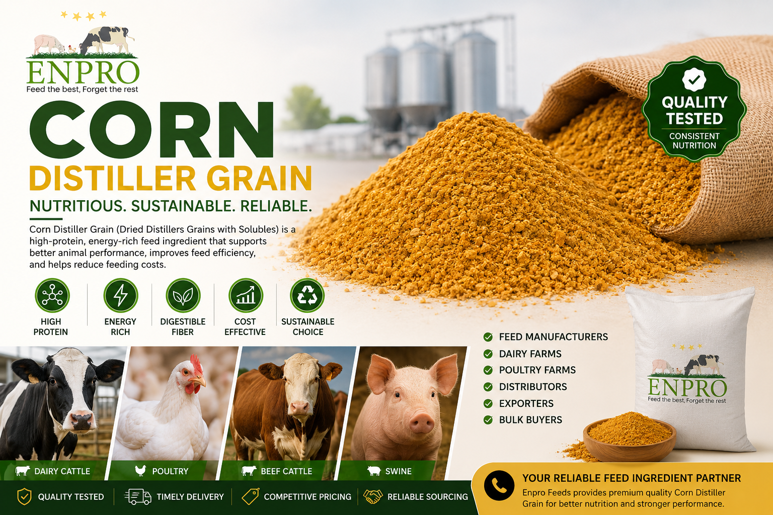 Corn Distiller Grain