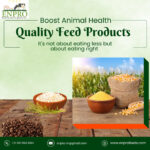Boost Animal Health