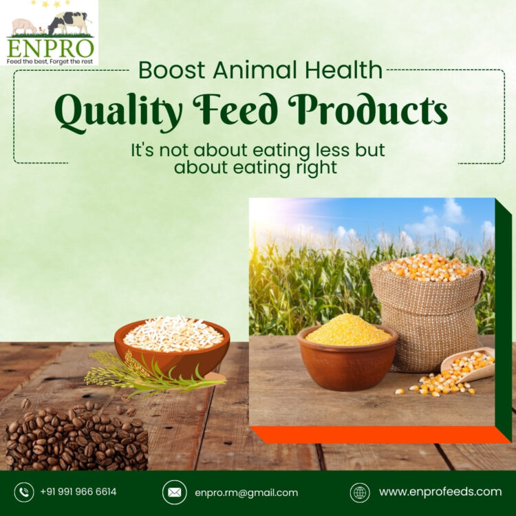 Boost Animal Health