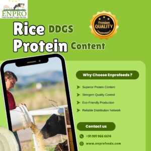 Rice ddgs protein content - Enprofeeds