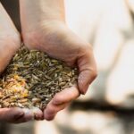 Best feed provider in india