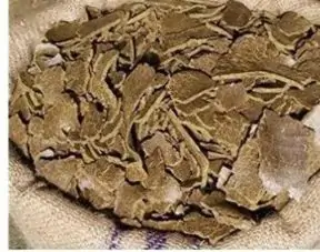 Mustard-D.O.C-EnproFeed