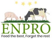 logo-enprofeed