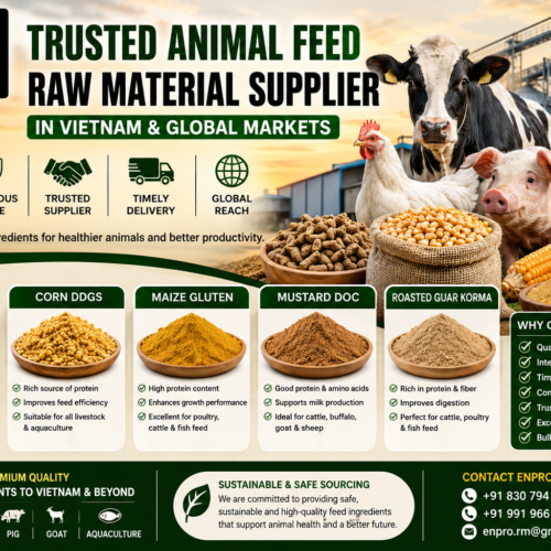 Rice and corn raw material supplier Vietnam