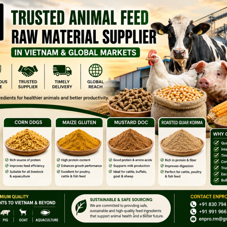 Rice and corn raw material supplier Vietnam