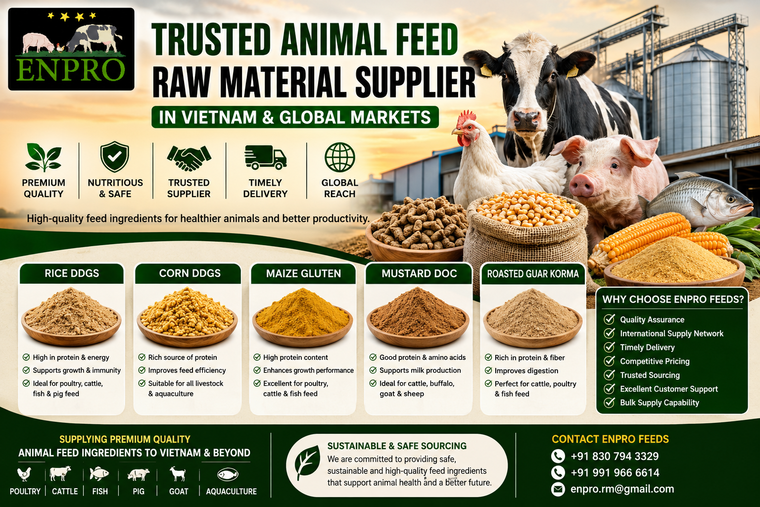 Rice and corn raw material supplier Vietnam