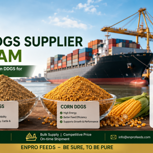 Bulk DDGS Supplier Vietnam