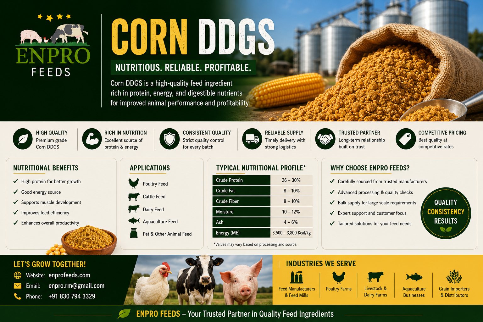 Corn ddgs