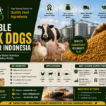 Rice and corn raw material supplier Indonesia