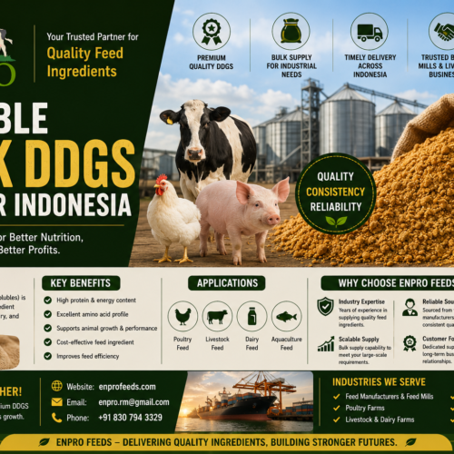 Rice and corn raw material supplier Indonesia