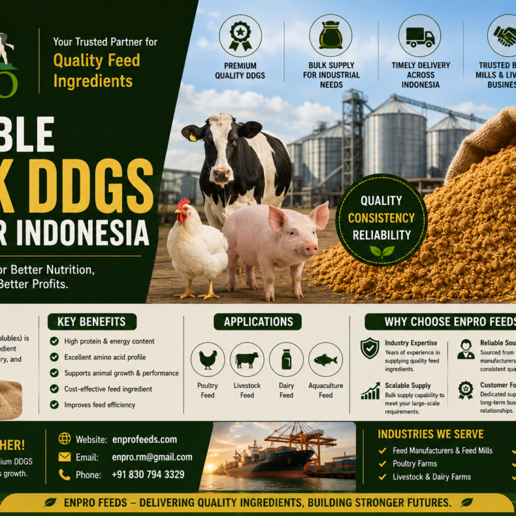 Rice and corn raw material supplier Indonesia