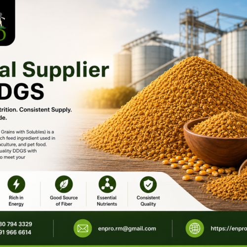 Global supplier of DDGS