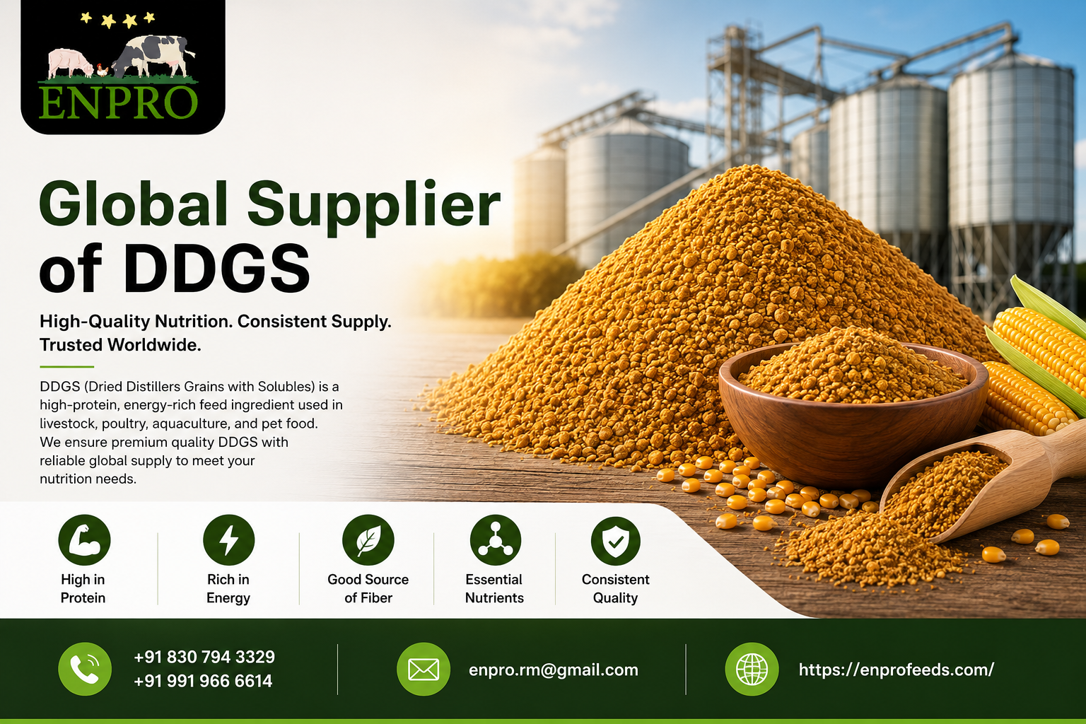 Global supplier of DDGS
