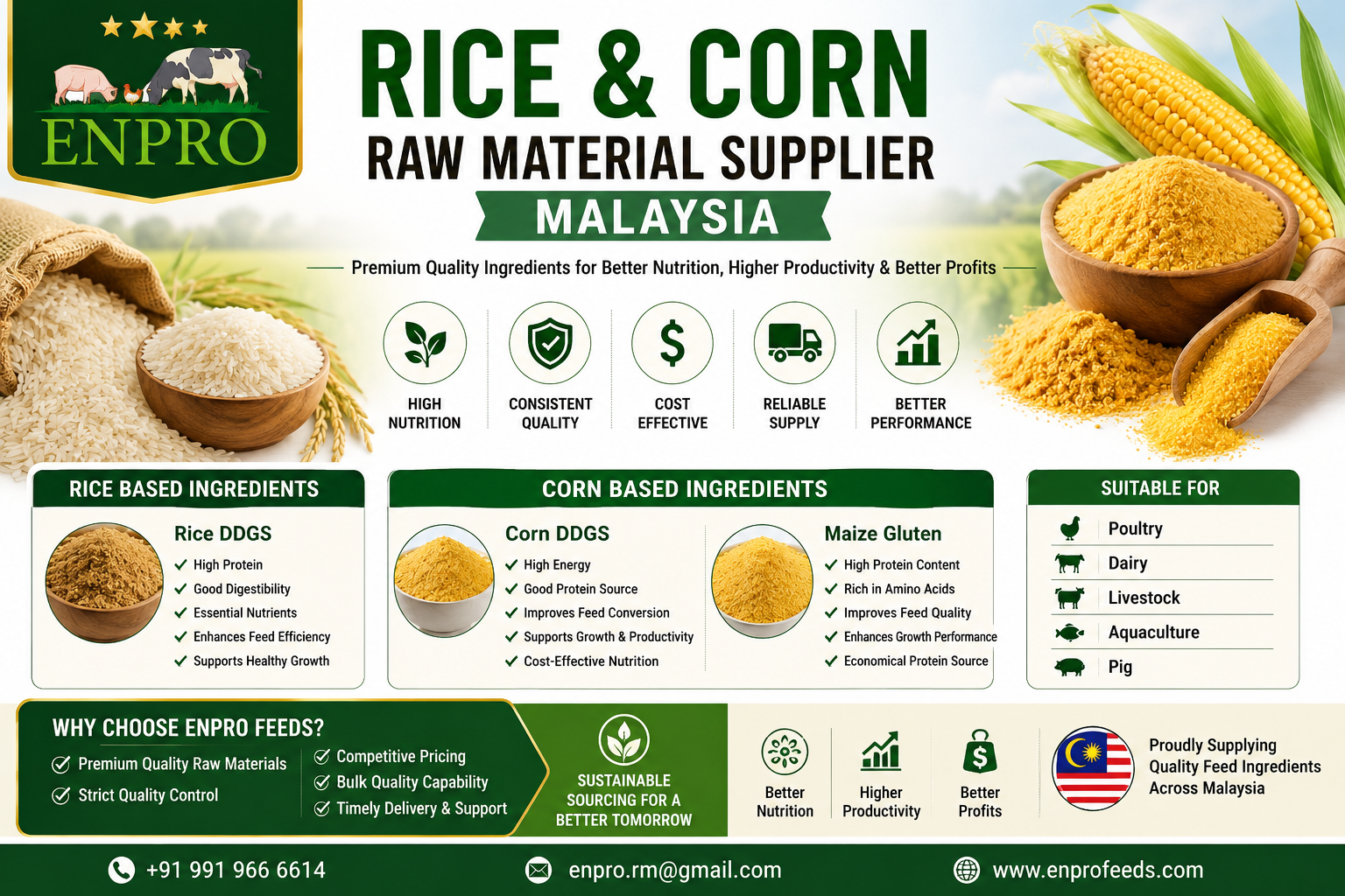 Rice and Corn Raw Material Supplier Malaysia