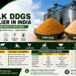 Bulk DDGS Supplier in India