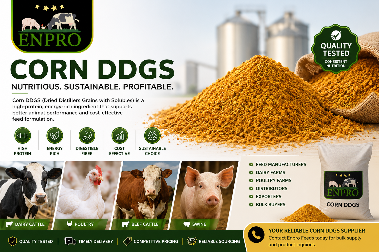 Premium Corn DDGS for livestock feed in bulk storage.