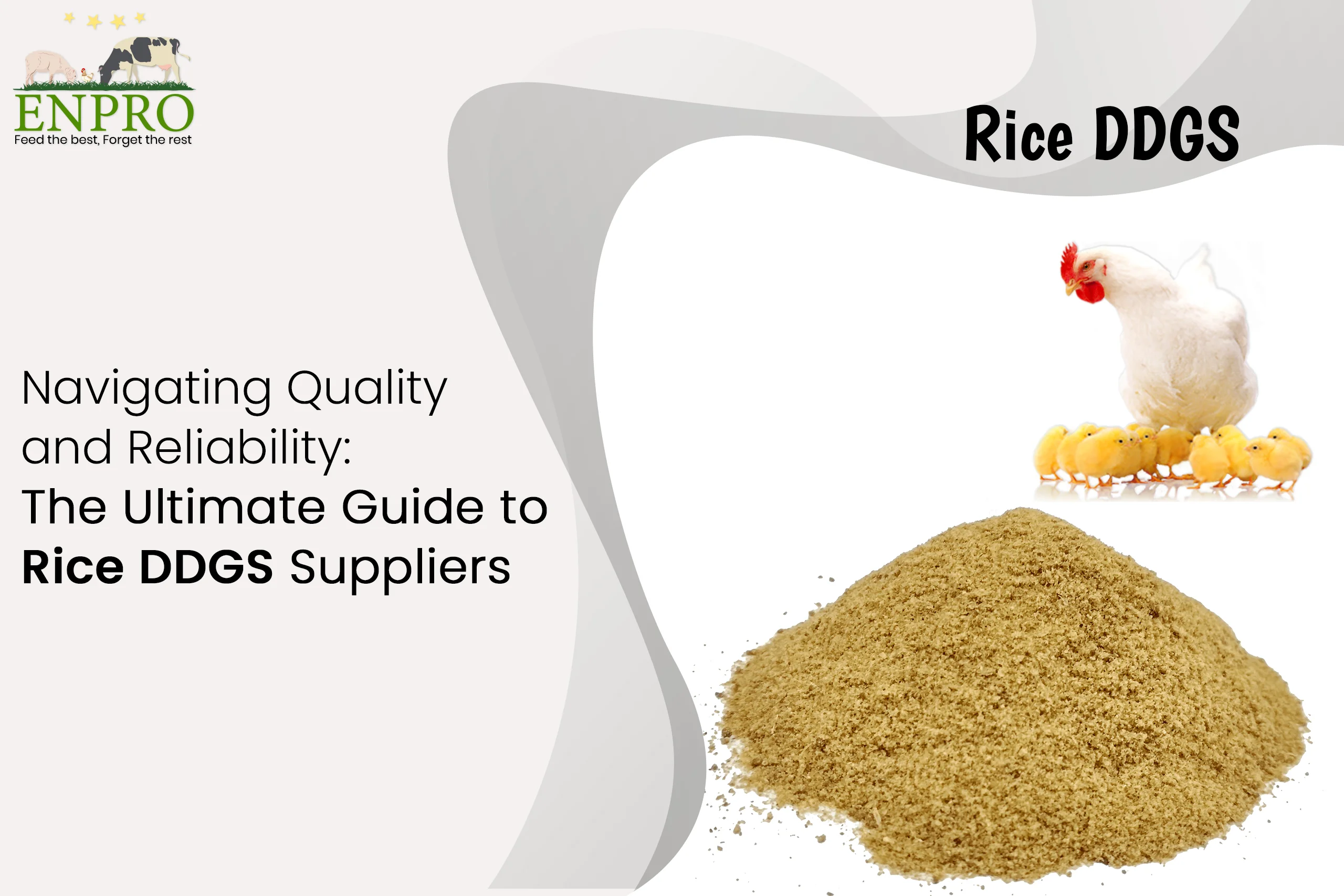 Rice DDGS Nutrition