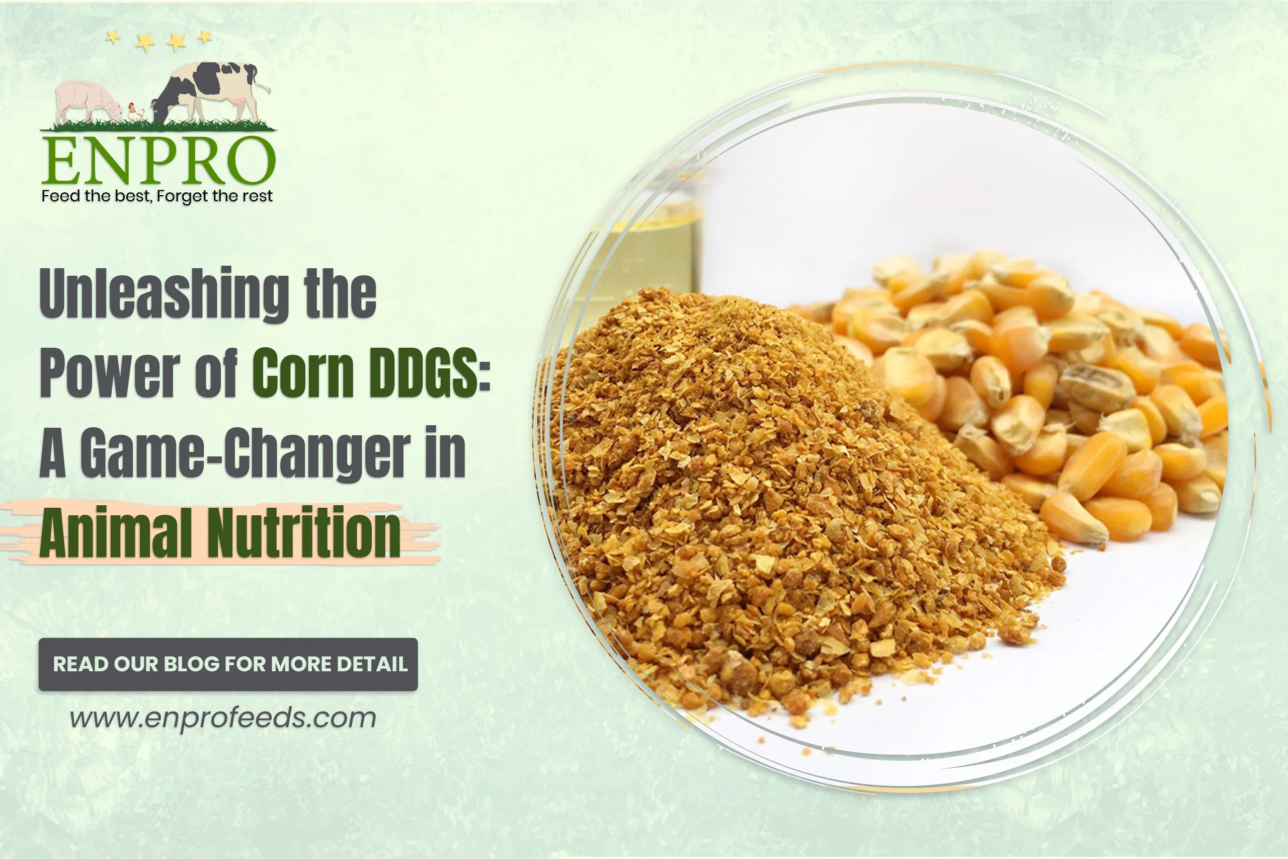 Animal-Nutrition-blog-Enprofeed
