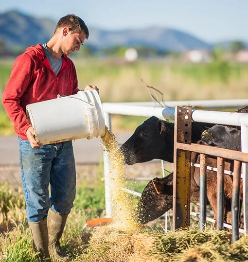 10-years-livestock-nutrition-enprofeeds