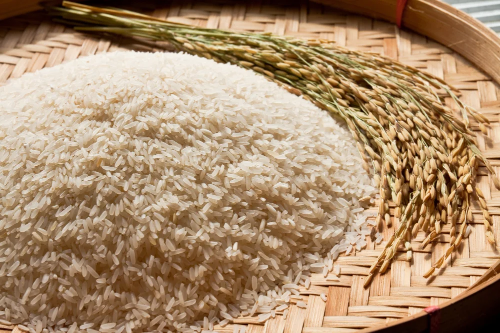 Rice DDGS Nutrition