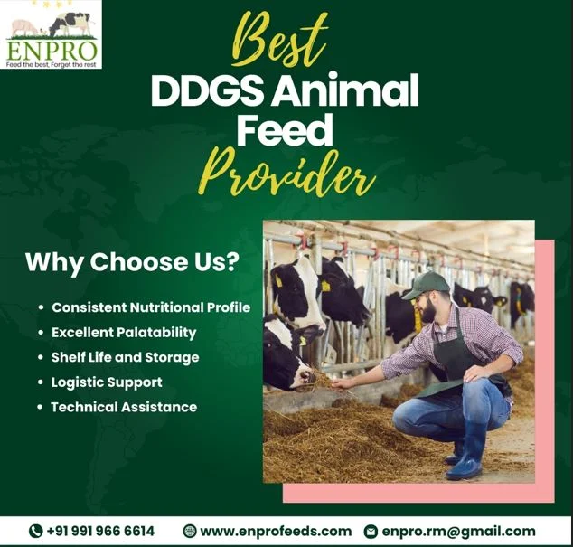 best animal feed provider in India