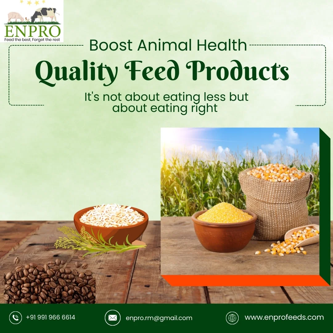 Boost Animal Health