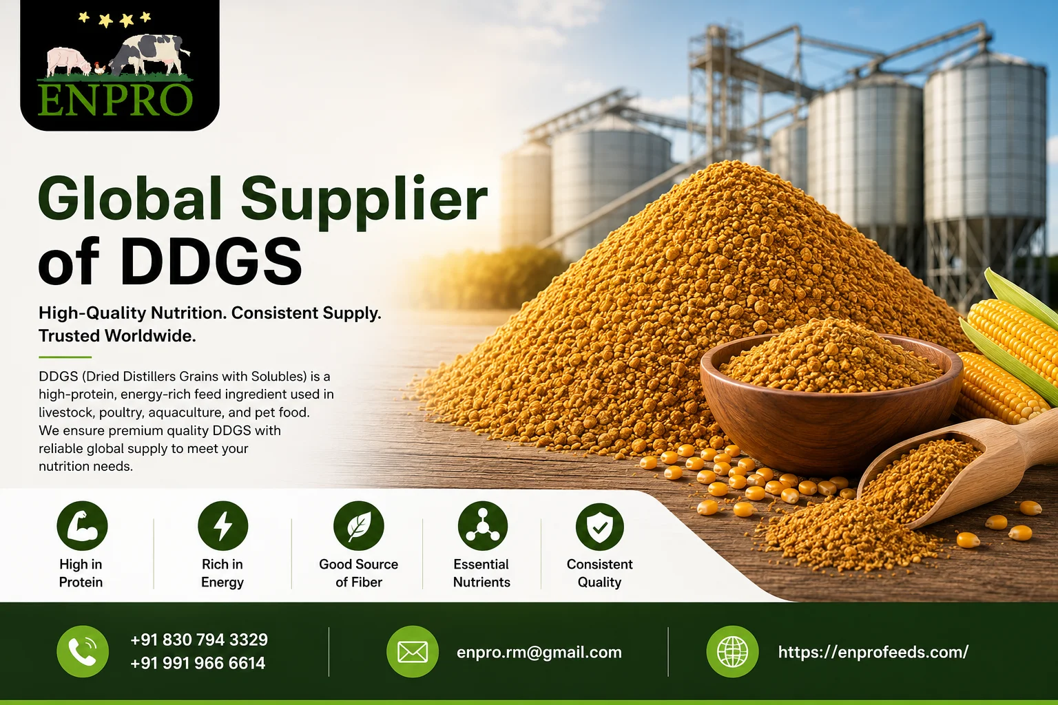 Global supplier of DDGS